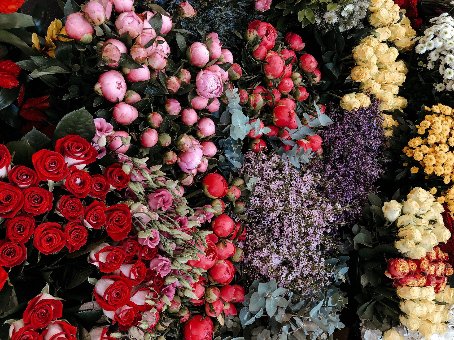 上海小程序開發(fā)，上海鮮花批發(fā)商城小程序開發(fā)，擁抱行業(yè)新機(jī)遇