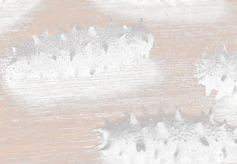 北京小程序開發(fā)，海參電商小程序開發(fā)該如何運營？