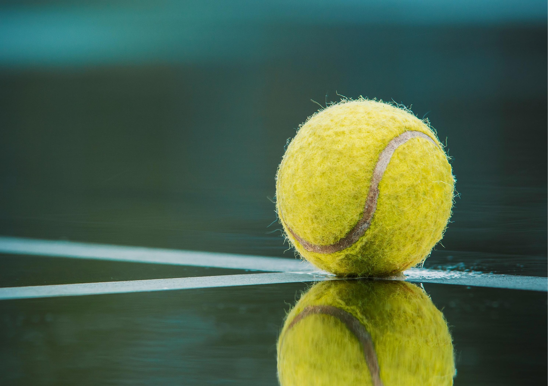 運(yùn)動(dòng)設(shè)施管理