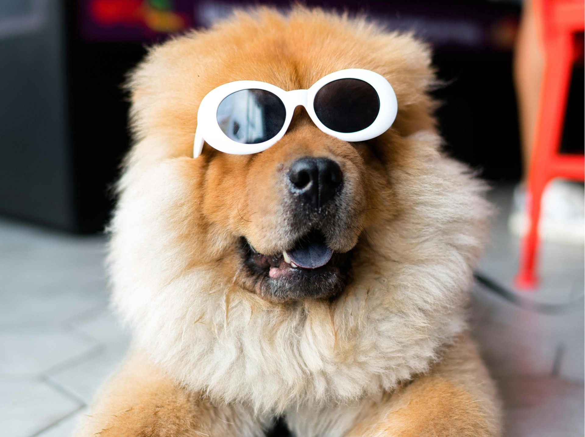 北京娛樂搞笑類App開發(fā)，開啟歡樂新引擎