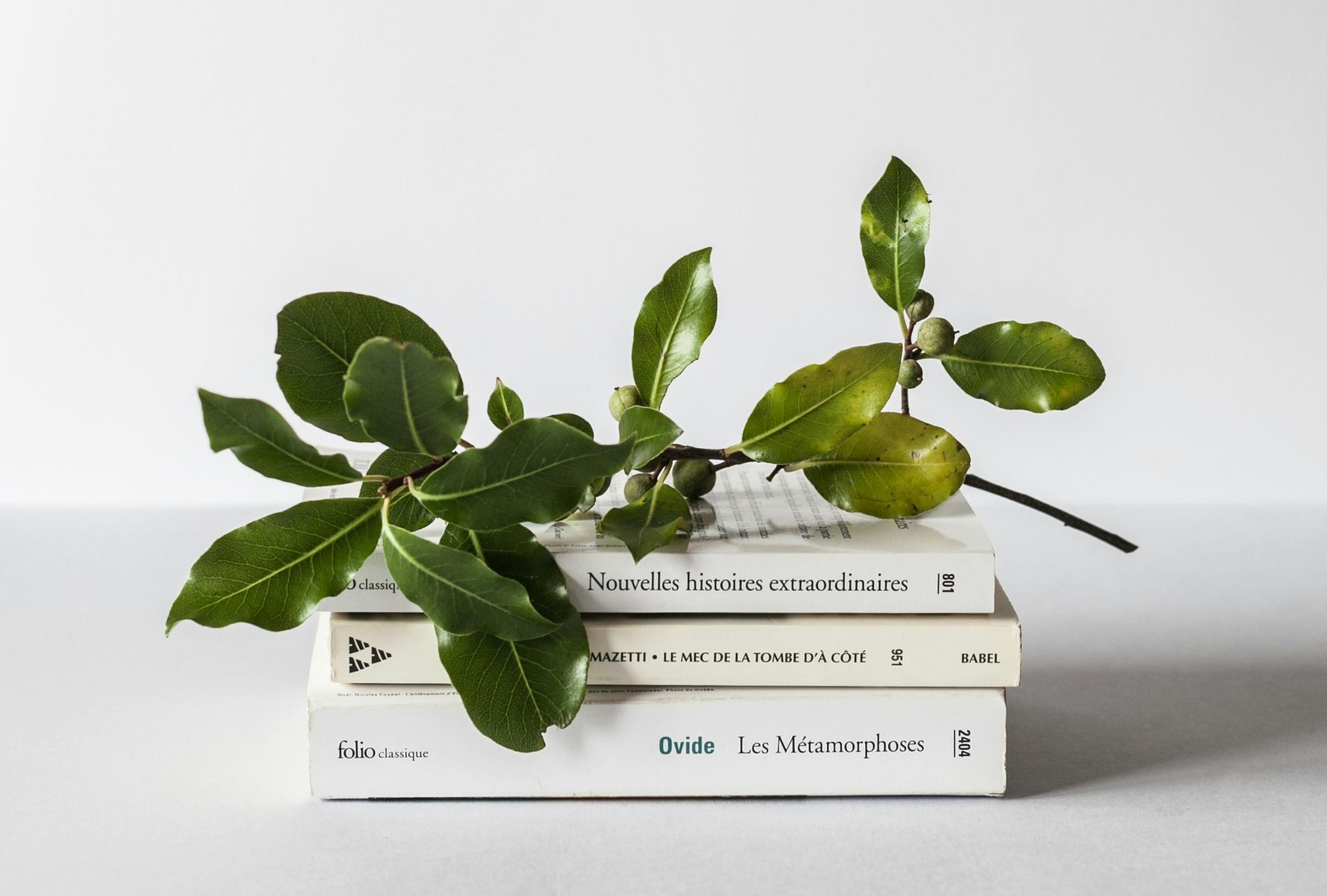 煙臺誦讀配樂小程序開發(fā)有哪些核心功能？